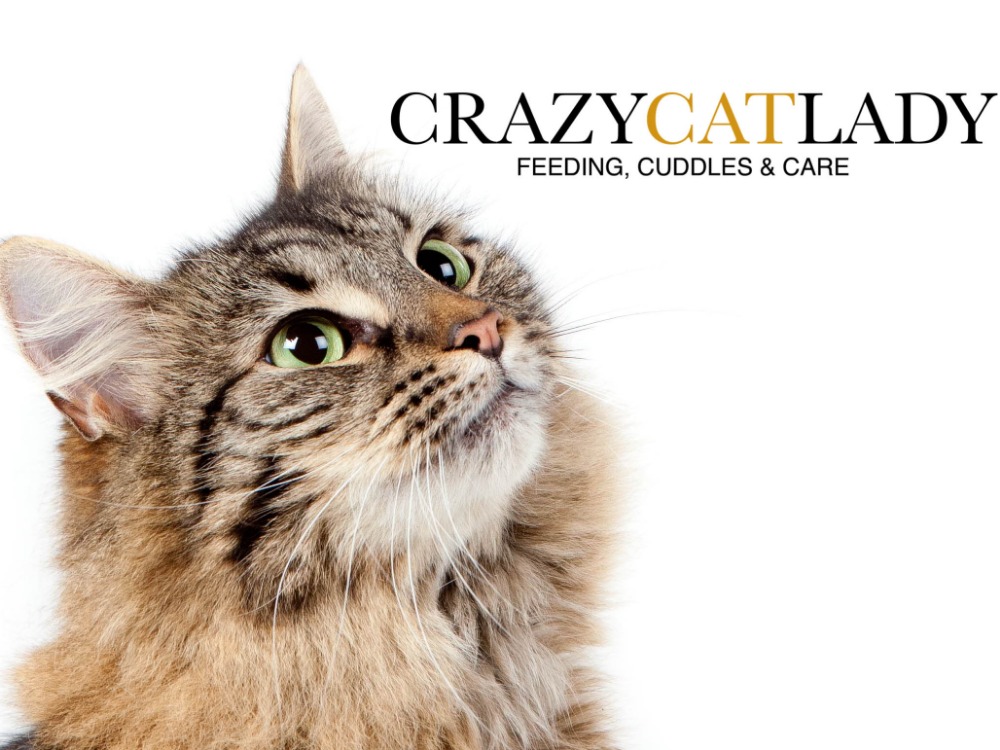 Home Based Business for Sale NZ, Small work from home NZ Businesses for