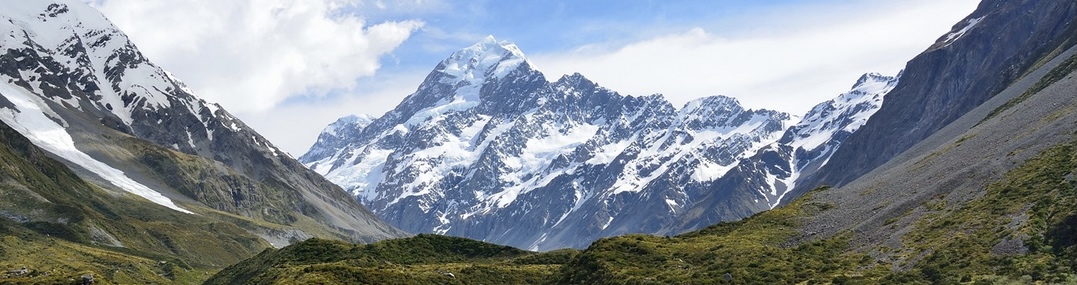 Applying for a Business Visa in New Zealand