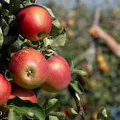 Managing a seasonal business Managing a seasonal business