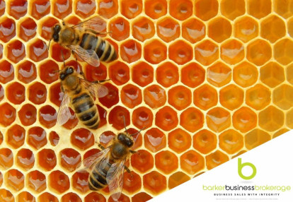 Apiary Business for Sale Greater Auckland Region