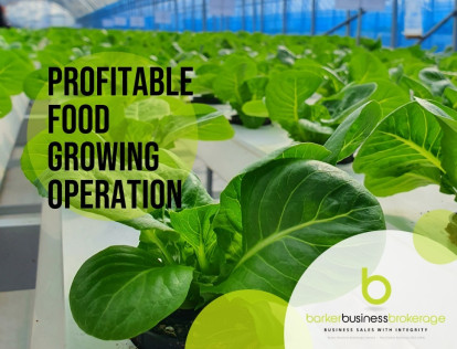 Hydroponic Food Growing Business for Sale Auckland Area