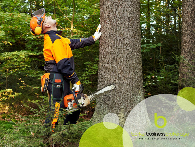 Arborist Business for Sale Auckland Region Arborist Business for Sale Auckland Region