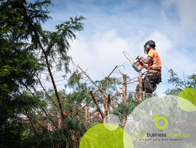 Arborist Business for Sale Auckland Region
