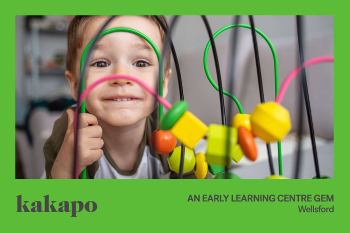 Early Childcare Business for Sale Wellsford Auckland Early Childcare Business for Sale Wellsford Auckland