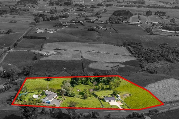 Lifestyle Property & Doggy Day Care Business for Sale Waiuku Auckland 