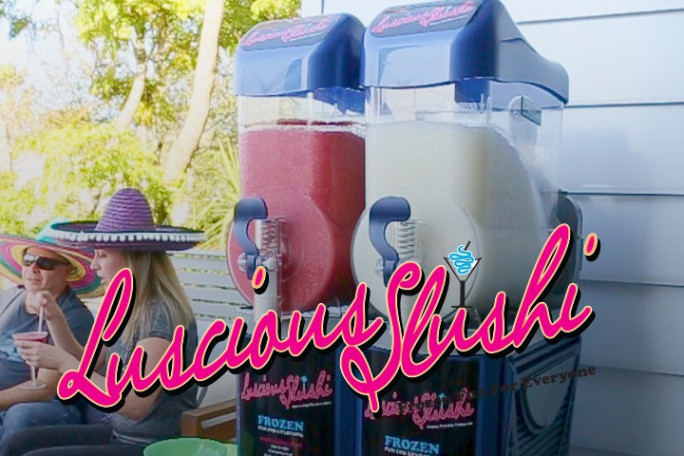 Slushy Machine Hire Business for Sale Auckland 