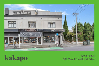 Cafe Site Business for Sale Mt Eden Auckland