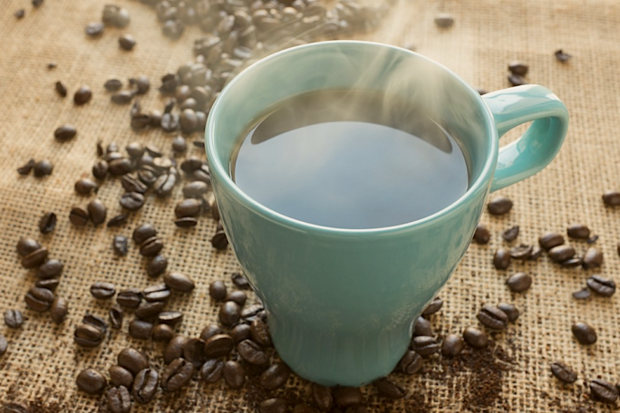 Cafe for Sale Orewa Auckland 