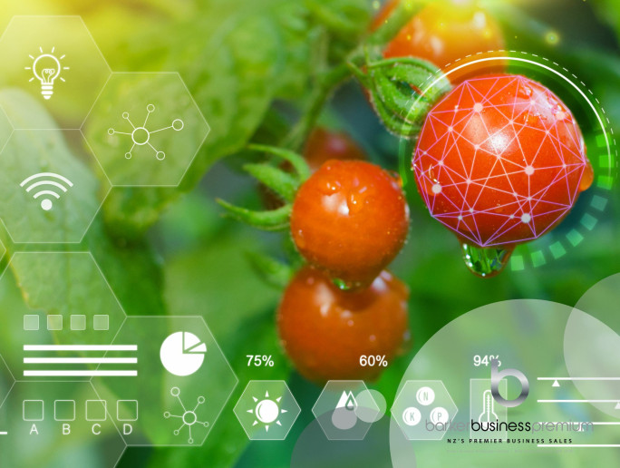 Global Food Safety SaaS Business for Sale Auckland