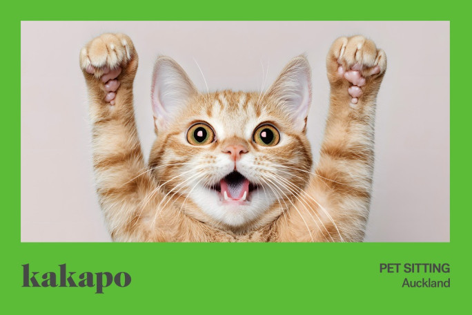 Pet Industry, Pet Sitting Business for Sale Home based in Auckland