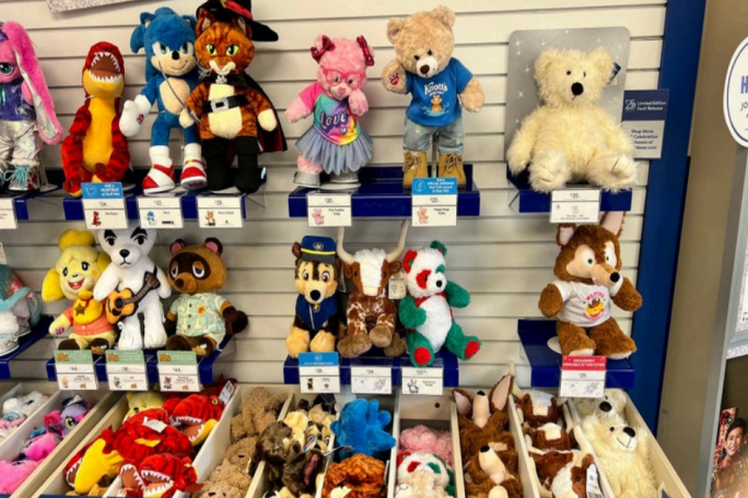 Teddy Bear House Business for Sale Waitakere City 