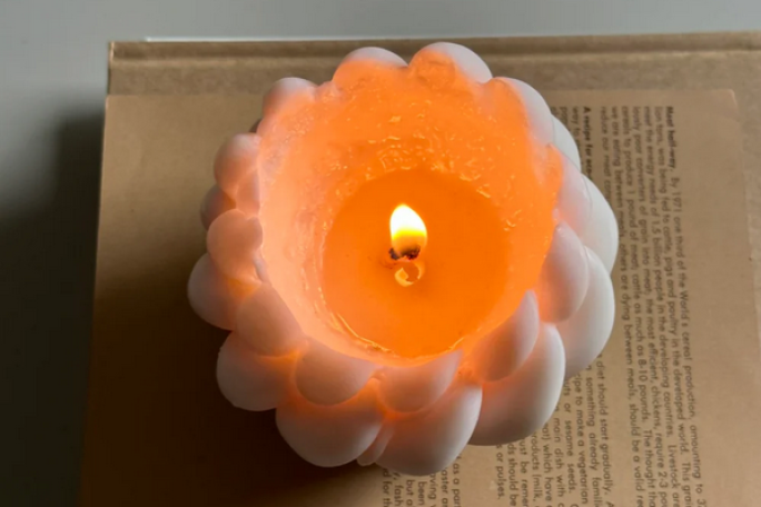 Online Candle Business for Sale Auckland 