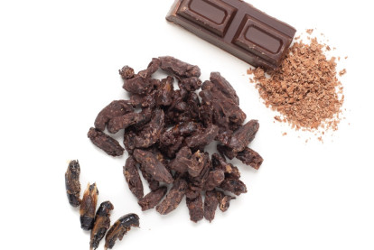 Edible Insect Distributor Business for Sale Auckland