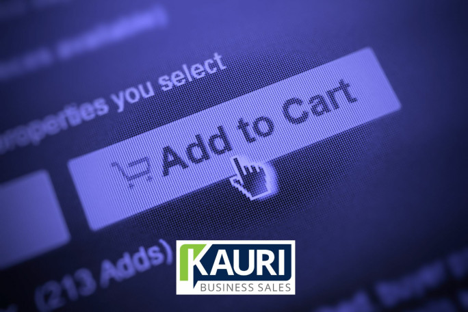 Established E-commerce Business for Sale Auckland 