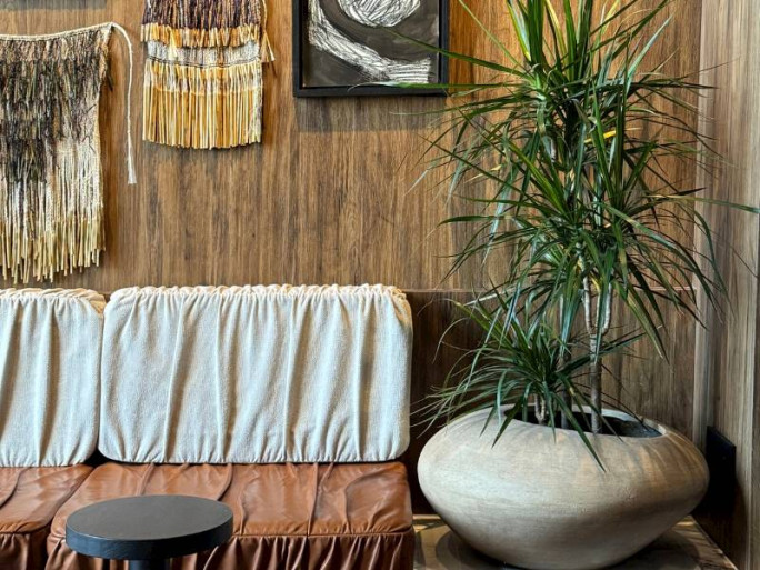 Established Plant Retail Business for Sale Auckland 