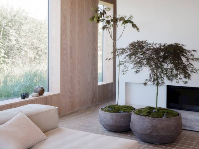 Established Plant Retail Business for Sale Auckland 