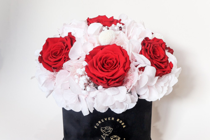 Online Gift Store Business for Sale Auckland Online Gift Store Business for Sale Auckland