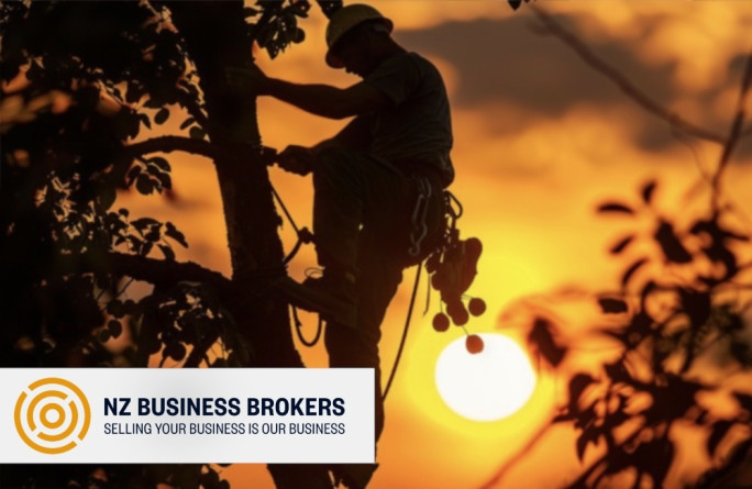 Arborist & Specialist Tree Services Business for Sale Auckland 