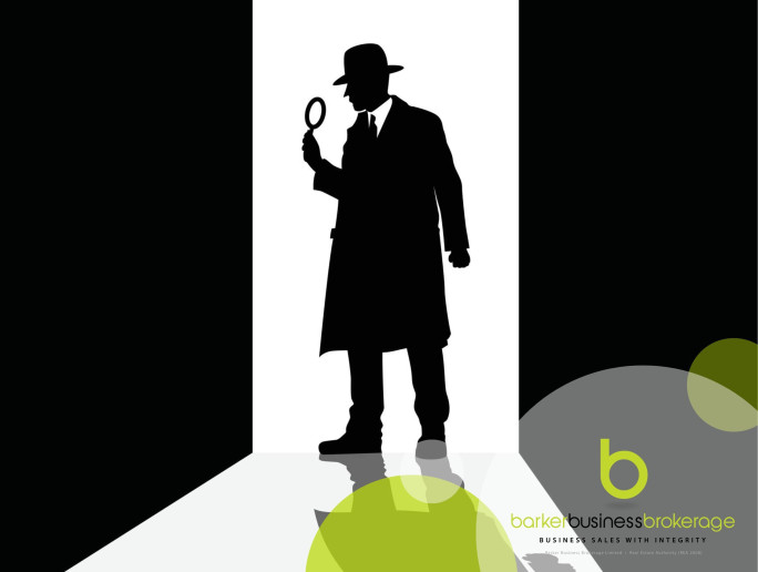 Digital Detective Business for Sale Auckland
