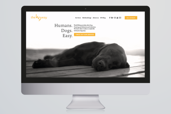 Dog Walking Training Business For Sale Auckland Nz Bizbuysell