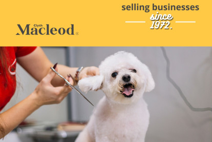 Doggie Day Spa Business for Sale Auckland