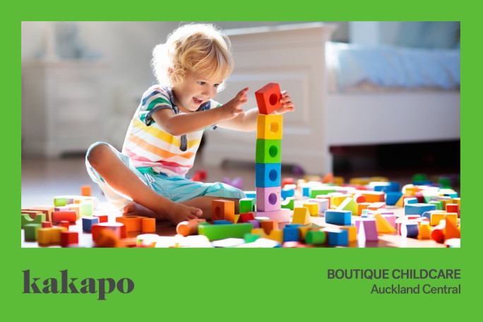Early Childhood Care Business for Sale Central Auckland 