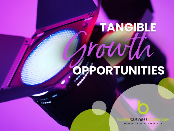 Entertainment Lighting Sector Business for Sale Auckland