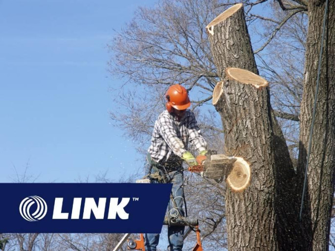 Established Arborist Business for Sale Auckland Established Arborist Business for Sale Auckland