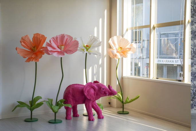Event Hire Space & Content Studio Business for Sale Auckland 