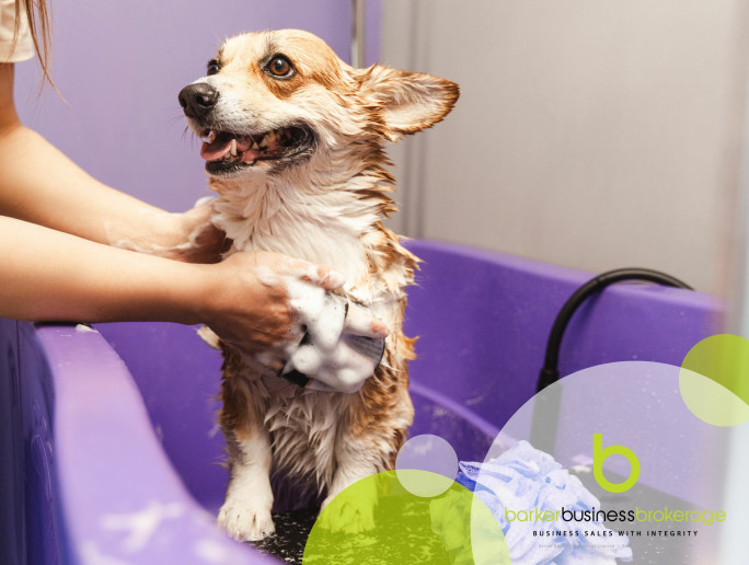Pet Grooming Salon Business for Sale West Auckland Pet Grooming Salon Business for Sale West Auckland