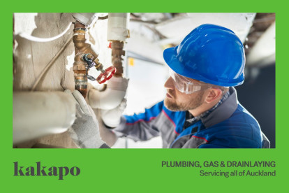 Plumbing Gasfitting and Drainlaying Business for Sale Auckland