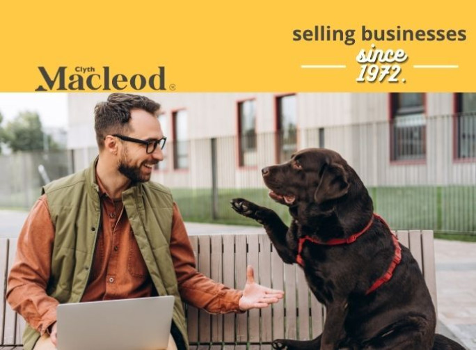 Reputable Canine Services Business for Sale Auckland
