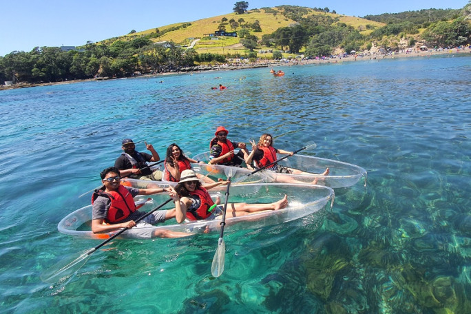 Clear Kayak Rental Business for Sale Goat Island Auckland