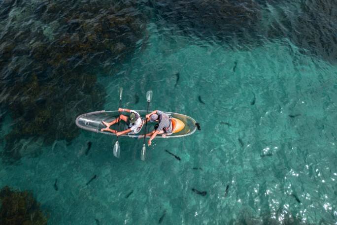Clear Kayak Rental Business for Sale Goat Island Auckland 