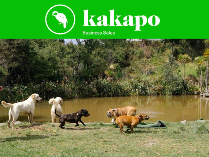 Doggy Daycare Business for Sale Massey Auckland