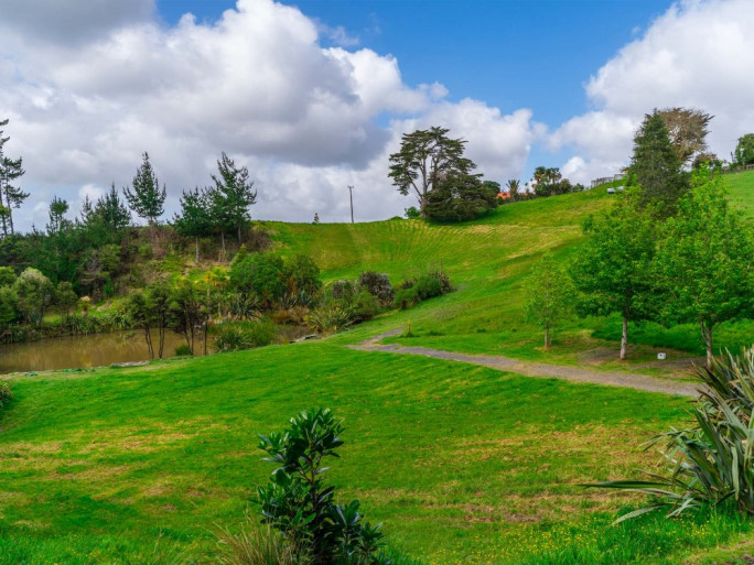 Doggy Daycare Business for Sale Massey Auckland