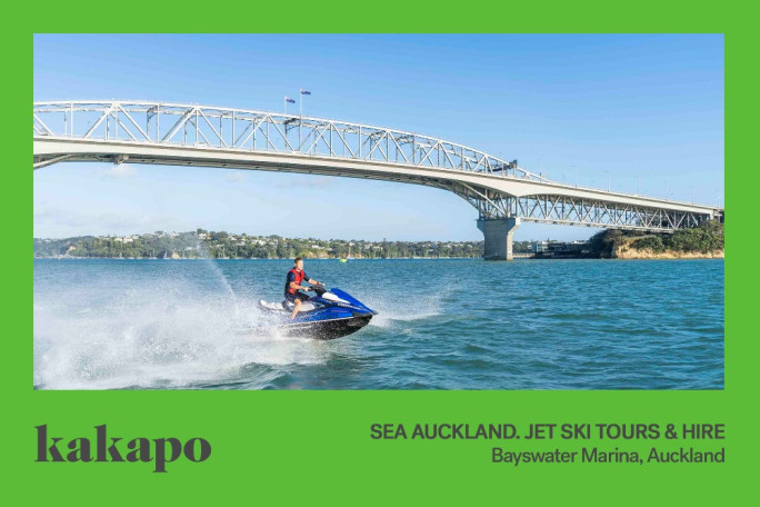 Entertainment, Leisure and Marine Business for Sale Bayswater, Auckland 