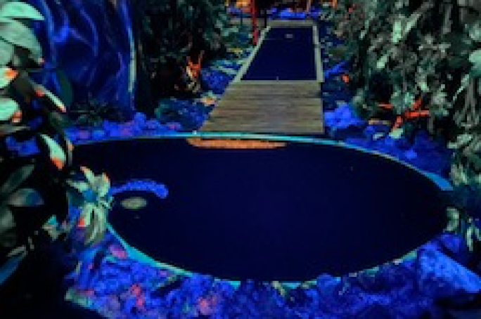 Mini Golf Course Business for Sale Takapuna
