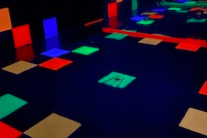 Mini Golf Course Business for Sale Takapuna 