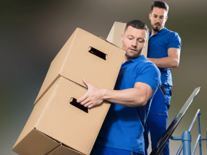 Moving and Packing Business for Sale Auckland 