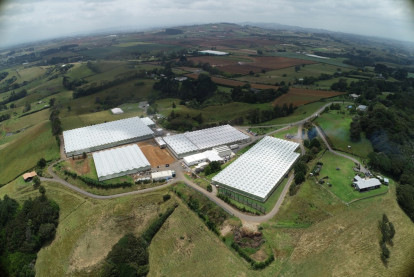 Growing and Distribution Business for Sale Auckland