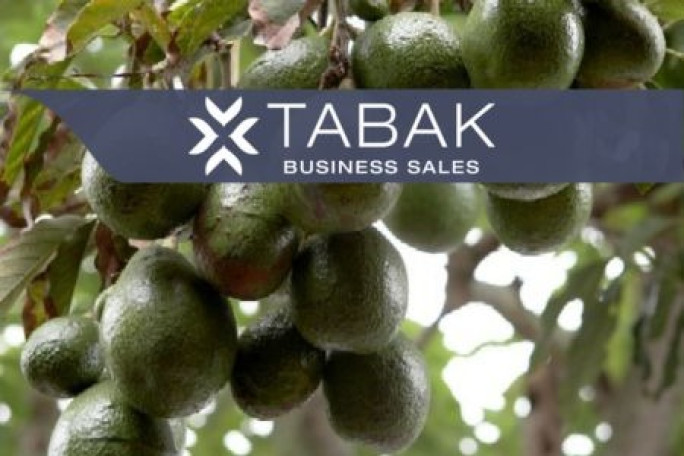 Horticultural Contracting Business for Sale Bay of Plenty