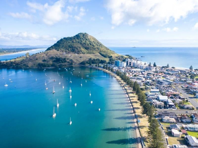 Construction Services Business for Sale Bay of Plenty 