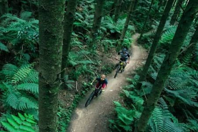 Rotorua Bike Shop Business for Sale Rotorua Rotorua Bike Shop Business for Sale Rotorua