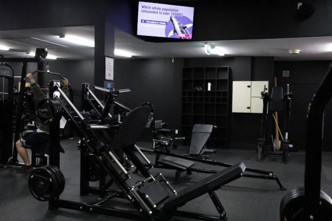 Digital Signage - Advertising Business for Sale Tauranga 