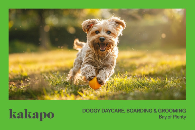 Doggy Daycare, Boarding, Grooming Business for Sale Bay of Plenty location available on appliation