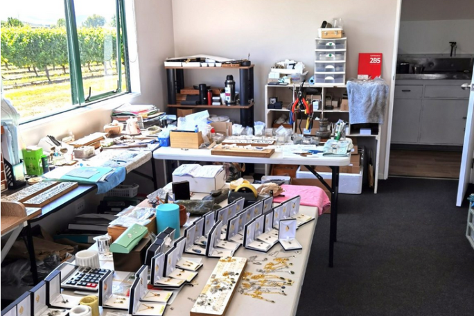 Jewellery Manufacturing Business for Sale Blenheim 