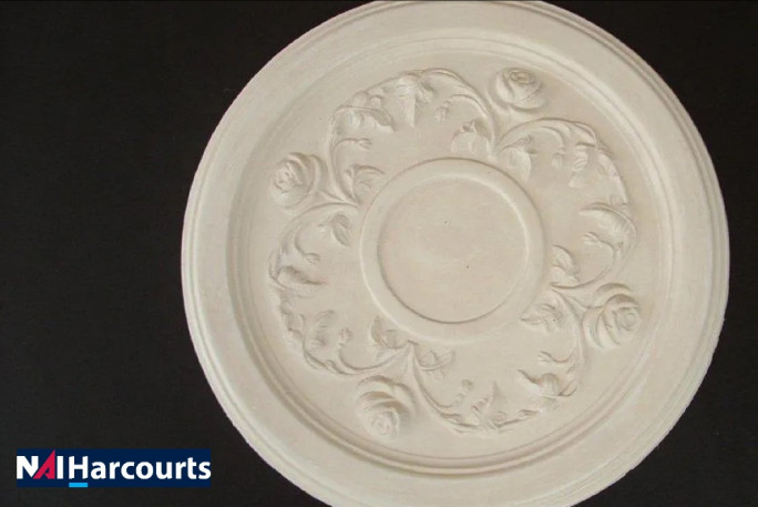 Niche Plaster Business for Sale Christchurch