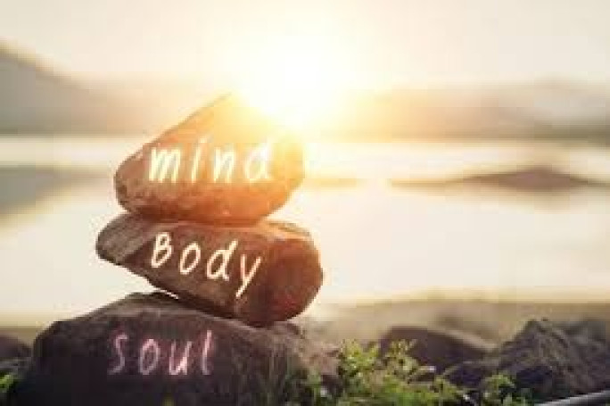 Wellness & Recovery Business for Sale Christchurch