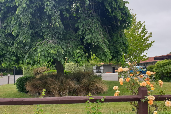 Accommodation for Sale Ashburton 